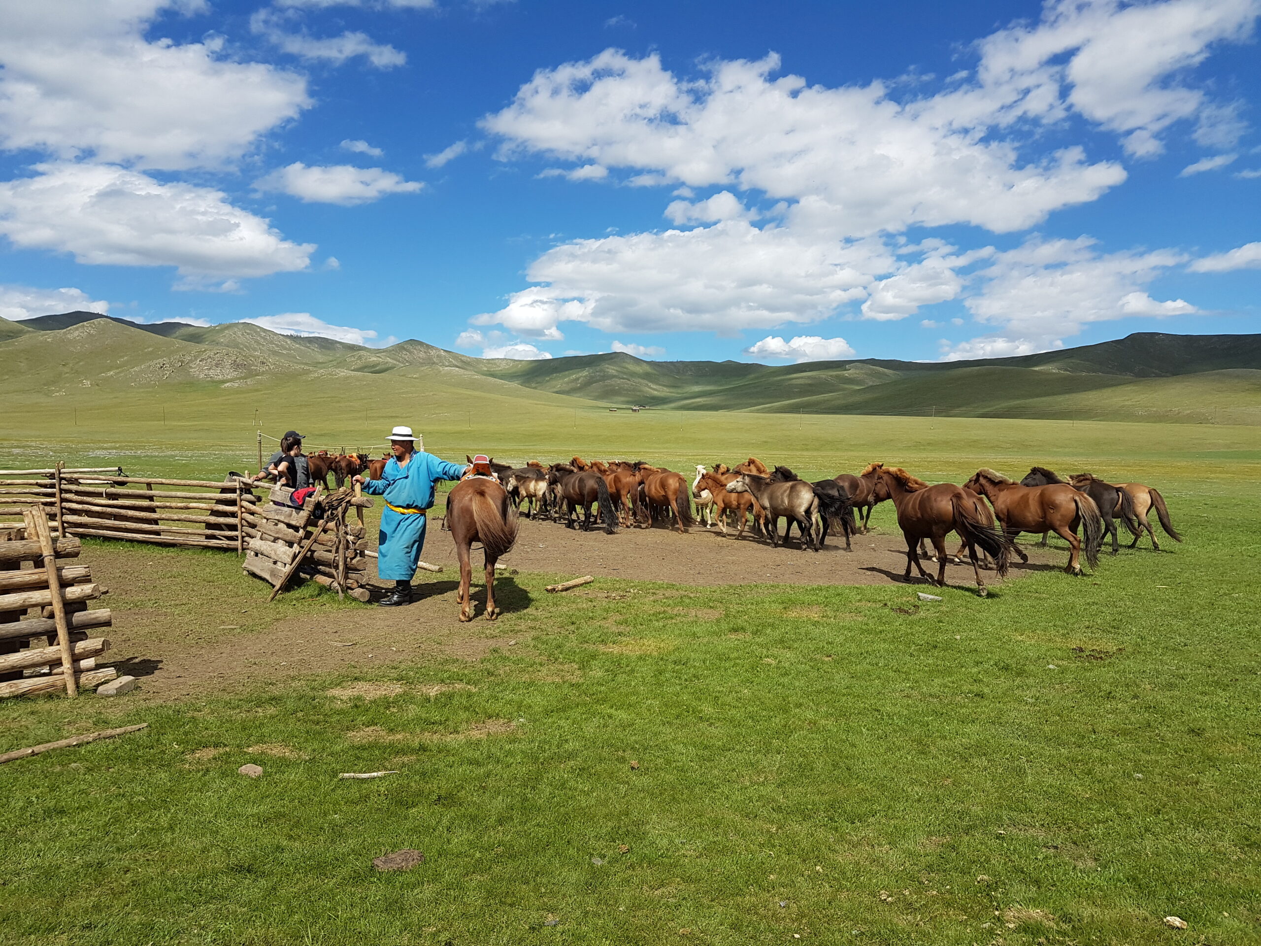 collection-yoag-mongolie-nomade-chevaux