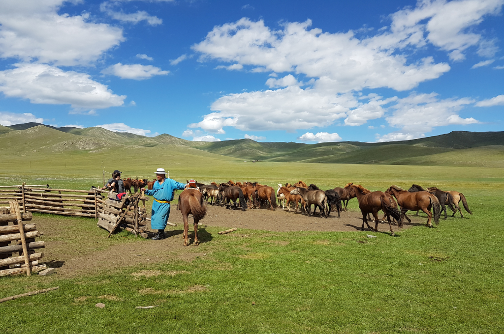 collection-voyage-yoga-mongolie